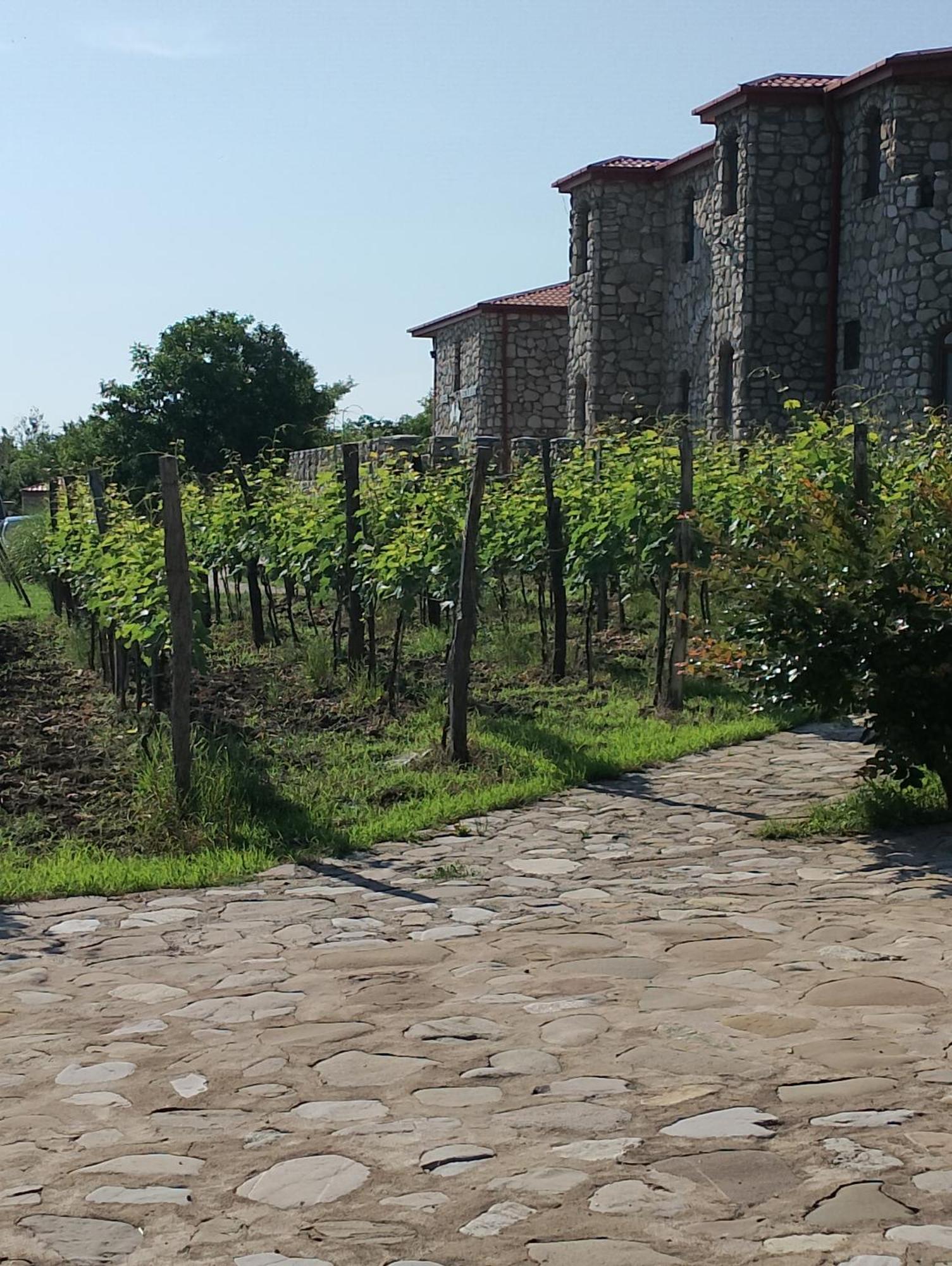 Chateau Tetri Bairagebi White Flags Kisiskhevi Buitenkant foto